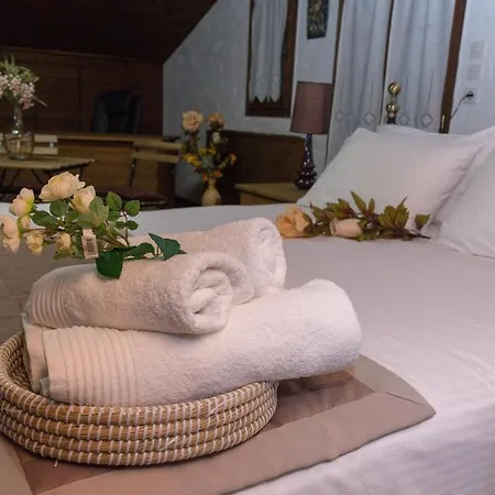 Chalet Arxontiko