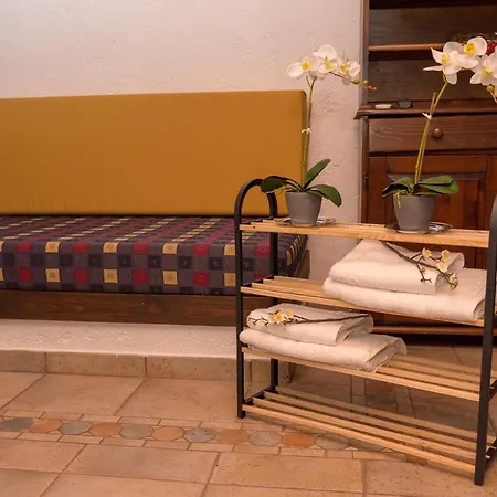 Arxontiko Chalet Palamas